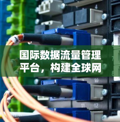 国际数据流量管理平台，构建全球网络通信的智能保障体系