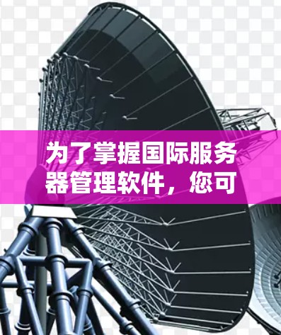 为了掌握国际服务器管理软件，您可以按照以下步骤进行学习
