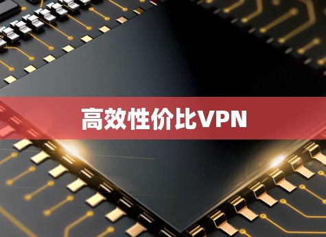 高效性价比VPN