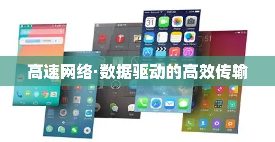 高速网络·数据驱动的高效传输