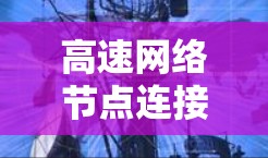 高速网络节点连接质量排行