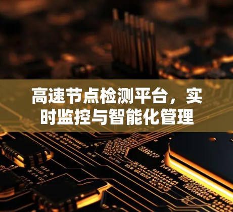 高速节点检测平台，实时监控与智能化管理