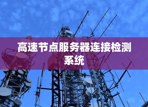 高速节点服务器连接检测系统