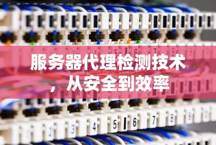 服务器代理检测技术，从安全到效率