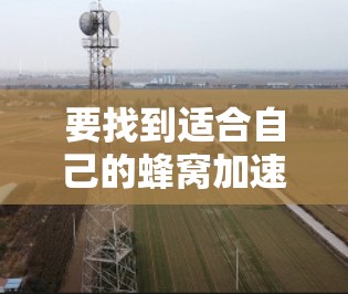 要找到适合自己的蜂窝加速器，可以按照以下步骤进行