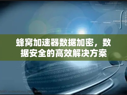 蜂窝加速器数据加密，数据安全的高效解决方案