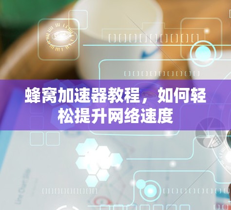 蜂窝加速器教程，如何轻松提升网络速度