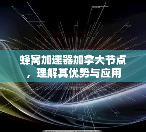 蜂窝加速器加拿大节点，理解其优势与应用