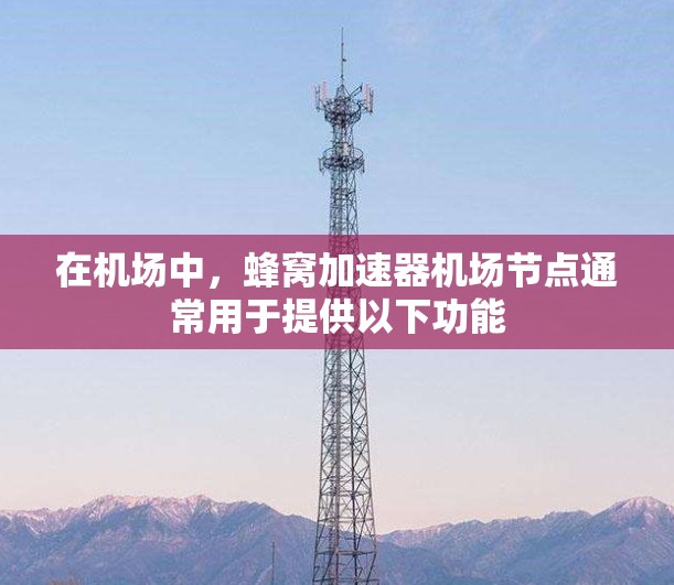 在机场中，蜂窝加速器机场节点通常用于提供以下功能