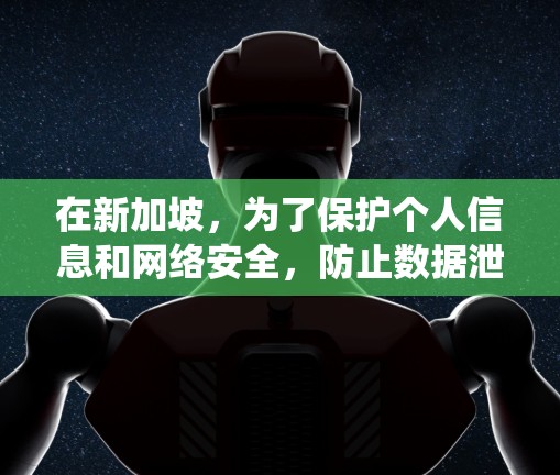 在新加坡，为了保护个人信息和网络安全，防止数据泄露，新加坡政府已经引入了蜂窝式VPN（Bee窝VPN）系统。这些系统通过多个节点相互连接，形成蜂窝状的网络拓扑，以提高数据传输的稳定性和安全性
