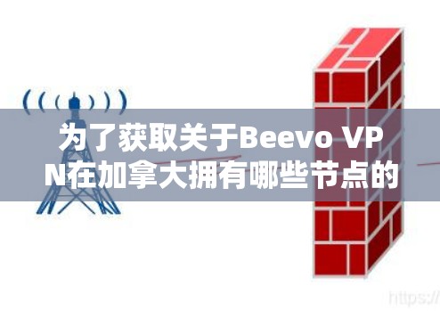 为了获取关于Beevo VPN在加拿大拥有哪些节点的信息，您可以按照以下步骤进行