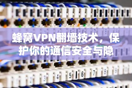蜂窝VPN翻墙技术，保护你的通信安全与隐私