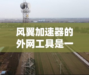 风翼加速器的外网工具是一个由多个软件平台提供的加速服务，旨在通过加速技术提升网页加载速度。以下是对这些工具的详细介绍