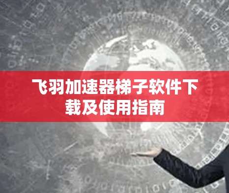 飞羽加速器梯子软件下载及使用指南