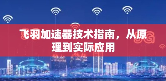 飞羽加速器技术指南，从原理到实际应用