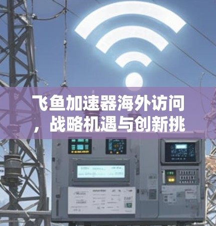 飞鱼加速器海外访问，战略机遇与创新挑战
