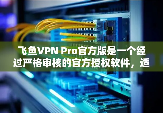 飞鱼VPN Pro官方版是一个经过严格审核的官方授权软件，适合需要加密流量的用户。以下是关于该软件的详细信息