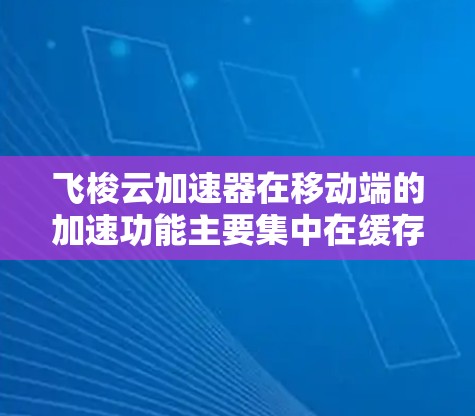 飞梭云加速器在移动端的加速功能主要集中在缓存缓存缓存等方面。以下是其主要优化点