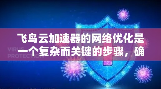 飞鸟云加速器的网络优化是一个复杂而关键的步骤，确保其高效和稳定运行。以下是对该过程的详细总结和建议