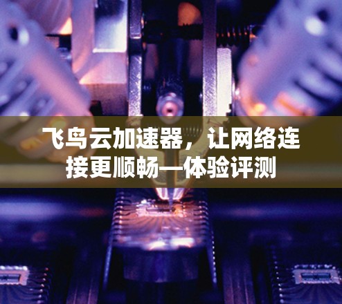 飞鸟云加速器，让网络连接更顺畅—体验评测