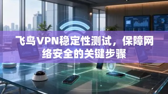 飞鸟VPN稳定性测试，保障网络安全的关键步骤