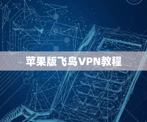 苹果版飞鸟VPN教程