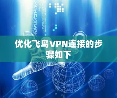优化飞鸟VPN连接的步骤如下