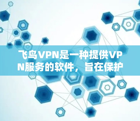 飞鸟VPN是一种提供VPN服务的软件，旨在保护用户的数据和隐私。以下是使用飞鸟VPN的步骤和注意事项
