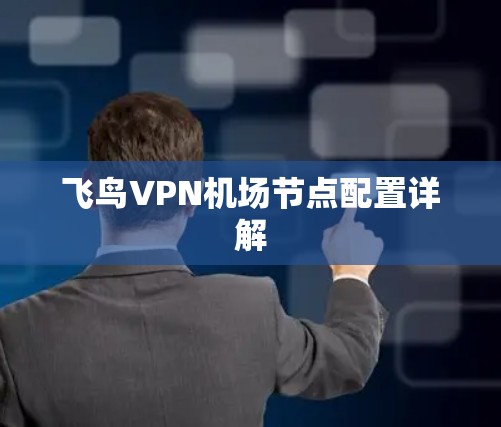 飞鸟VPN机场节点配置详解