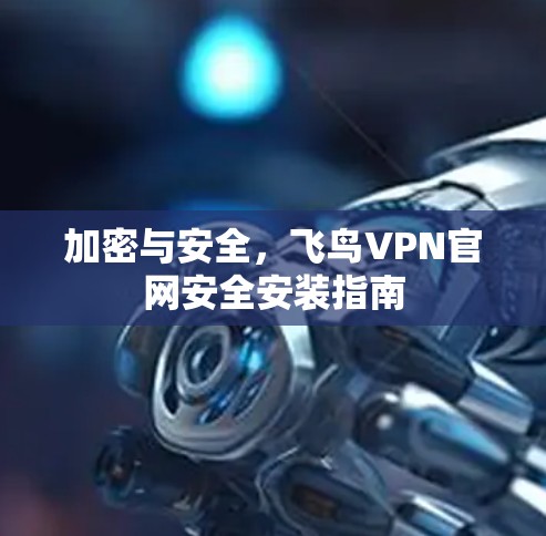 加密与安全，飞鸟VPN官网安全安装指南