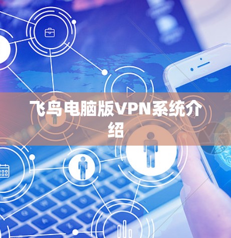 飞鸟电脑版VPN系统介绍