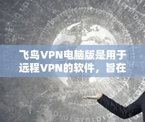 飞鸟VPN电脑版是用于远程VPN的软件，旨在提供高效的数据传输和访问功能。以下是关于该软件的详细分析