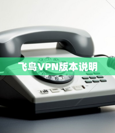 飞鸟VPN版本说明