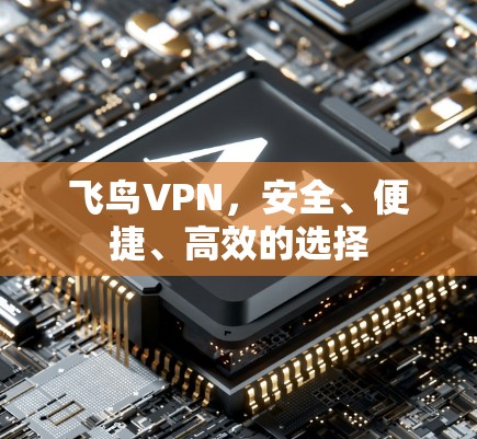 飞鸟VPN，安全、便捷、高效的选择