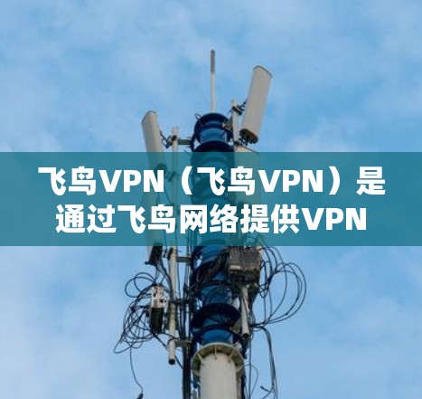 飞鸟VPN（飞鸟VPN）是通过飞鸟网络提供VPN服务的软件，您可以在手机、平板电脑等设备上使用，以保护您的网络和数据安全。以下是一个简单的教程，帮助您在安卓设备上使用飞鸟VPN