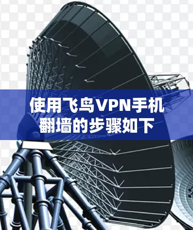 使用飞鸟VPN手机翻墙的步骤如下