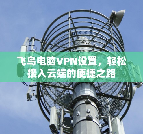 飞鸟电脑VPN设置，轻松接入云端的便捷之路