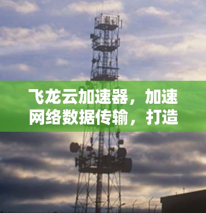 飞龙云加速器，加速网络数据传输，打造高效通信体验