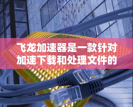 飞龙加速器是一款针对加速下载和处理文件的工具，通常用于在需要快速加载资源或下载文件时，提升下载速度。以下是一些关于飞龙加速器的详细介绍和下载步骤