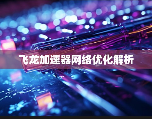 飞龙加速器网络优化解析