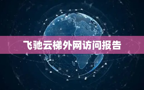 飞驰云梯外网访问报告