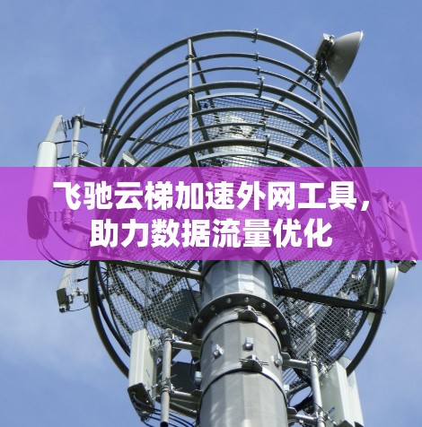 飞驰云梯加速外网工具，助力数据流量优化