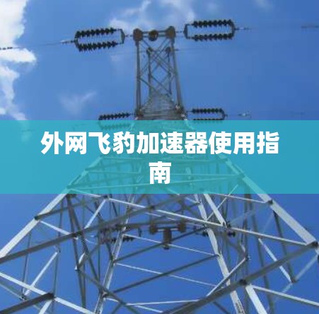外网飞豹加速器使用指南