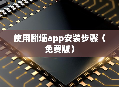使用翻墙app安装步骤（免费版）