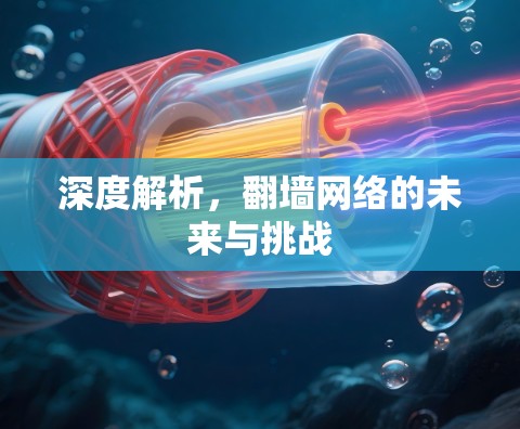 深度解析，翻墙网络的未来与挑战