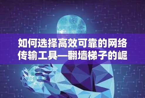如何选择高效可靠的网络传输工具—翻墙梯子的崛起之路