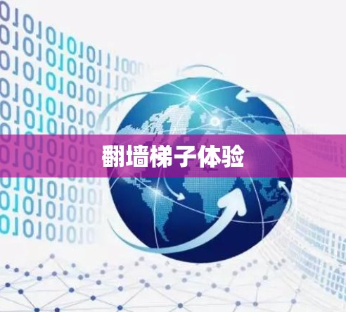翻墙梯子体验