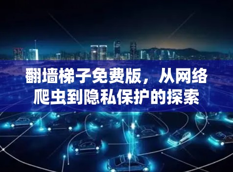翻墙梯子免费版，从网络爬虫到隐私保护的探索