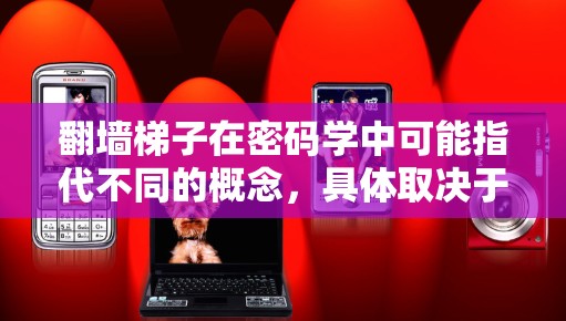 翻墙梯子在密码学中可能指代不同的概念，具体取决于上下文。以下是一些可能的相关信息和资源，供您参考