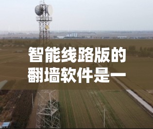智能线路版的翻墙软件是一种结合人工智能和先进网络技术的网络安全解决方案，旨在通过自动检测和防御恶意流量来提供更安全的网络访问体验。以下是对该技术的详细分析和总结
